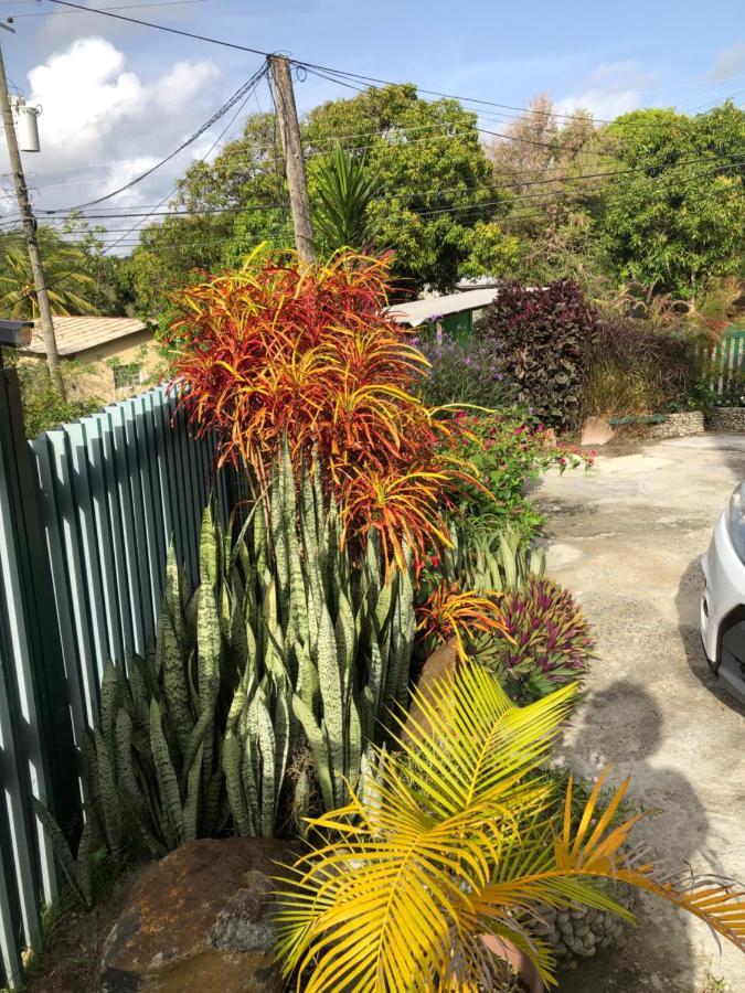 Aupicblue Apartamento Vieux Fort Saint Lucia Exterior foto